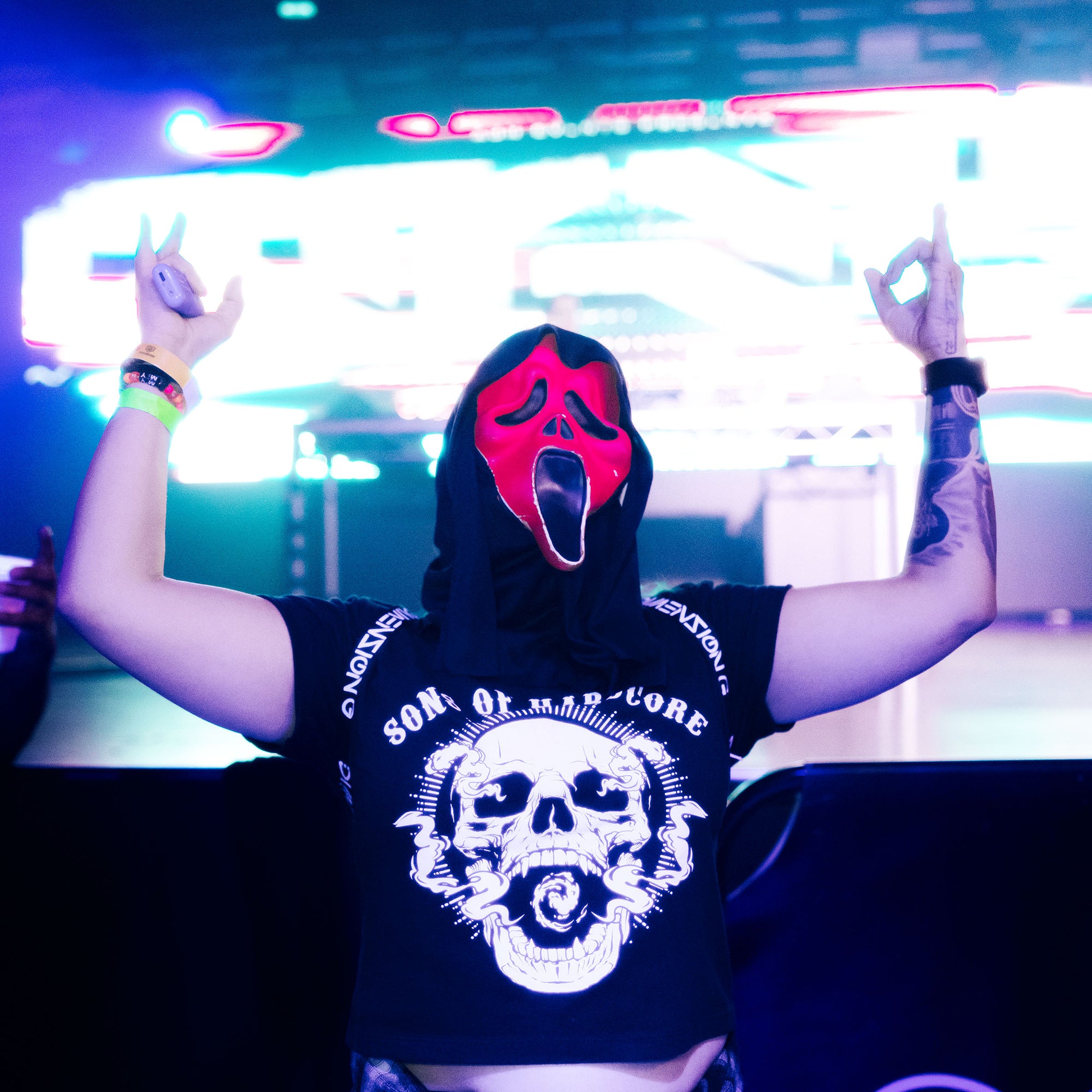 Sons of Hardcore crop top