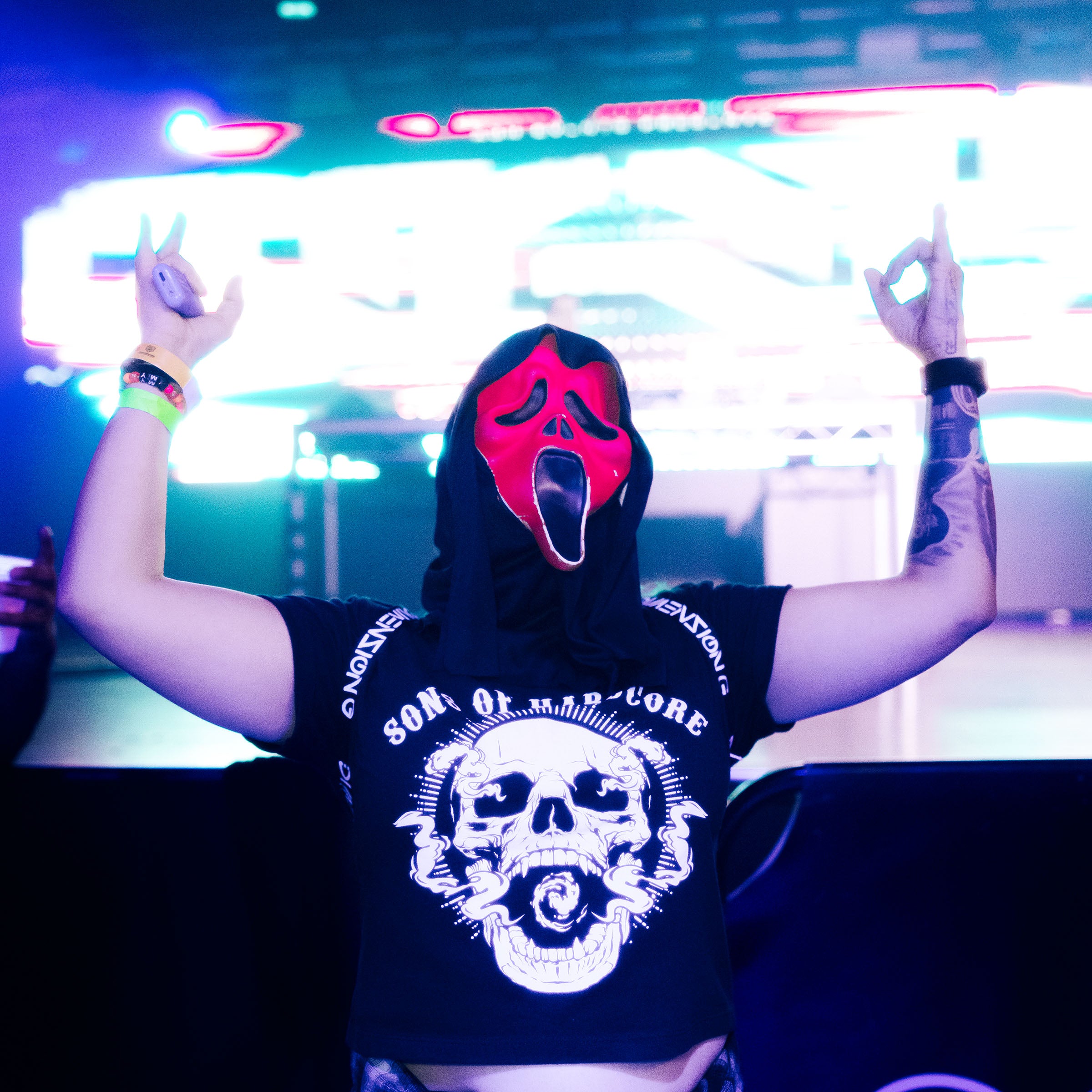 Sons of Hardcore crop top